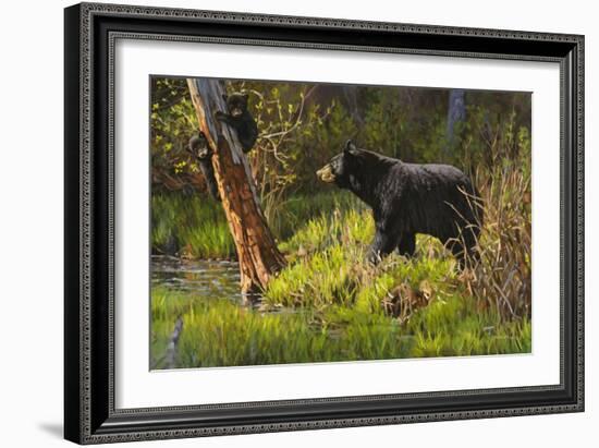 Black Bear-Bruce Miller-Framed Giclee Print