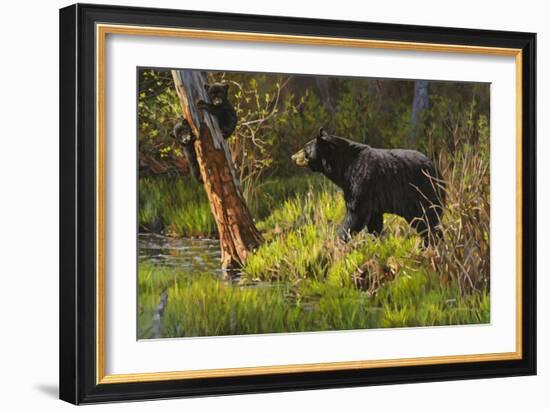 Black Bear-Bruce Miller-Framed Giclee Print