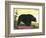 Black Bear-null-Framed Art Print