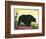 Black Bear-null-Framed Art Print