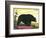 Black Bear-null-Framed Art Print