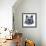 Black Bear-Jeannine Saylor-Framed Art Print displayed on a wall