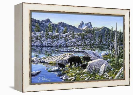 Black Bear-Jeff Tift-Framed Premier Image Canvas