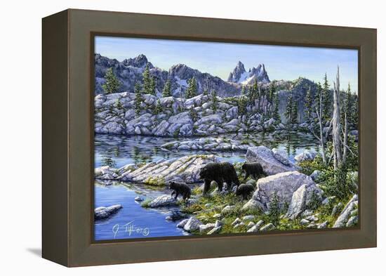 Black Bear-Jeff Tift-Framed Premier Image Canvas