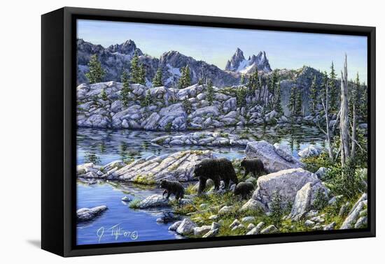 Black Bear-Jeff Tift-Framed Premier Image Canvas