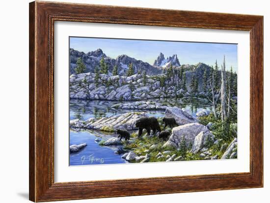 Black Bear-Jeff Tift-Framed Giclee Print