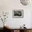 Black Bears NCZ 17 1-Robert Michaud-Framed Giclee Print displayed on a wall
