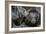 Black Bears NCZ 17 1-Robert Michaud-Framed Giclee Print