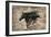 Black Beauty-Marta Wiley-Framed Giclee Print