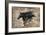 Black Beauty-Marta Wiley-Framed Giclee Print