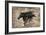 Black Beauty-Marta Wiley-Framed Giclee Print