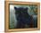 Black Beauty-Jeff Tift-Framed Premier Image Canvas