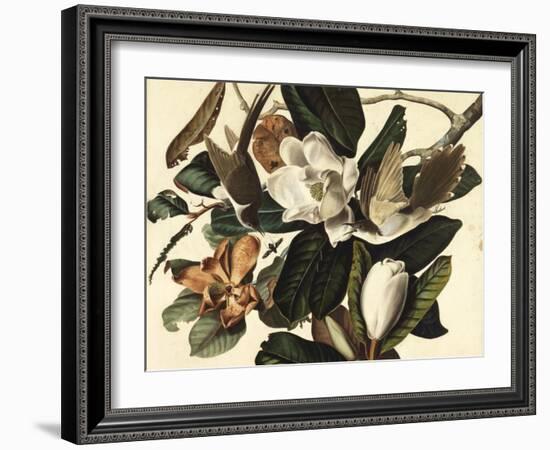 Black-Billed Cuckoo, 1822-John James Audubon-Framed Giclee Print