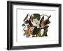 Black-Billed Cuckoo-John James Audubon-Framed Giclee Print