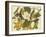Black-Billed Cuckoo-John James Audubon-Framed Art Print