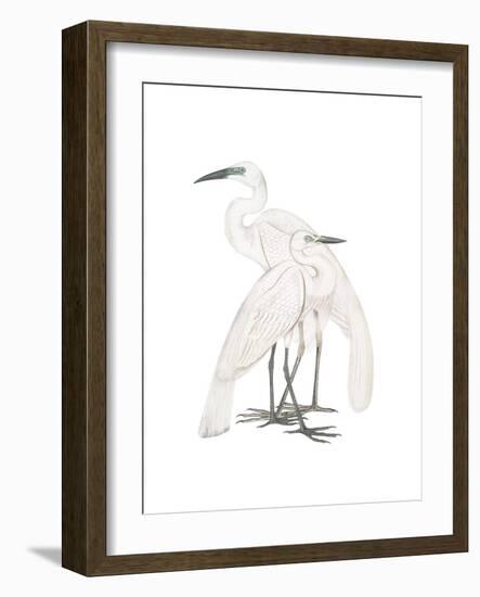 Black Billed Heron-Maria Mendez-Framed Giclee Print