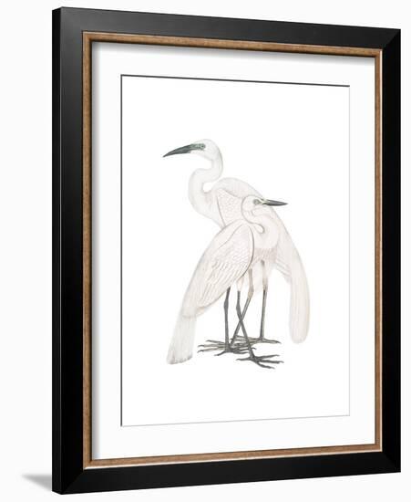 Black Billed Heron-Maria Mendez-Framed Giclee Print