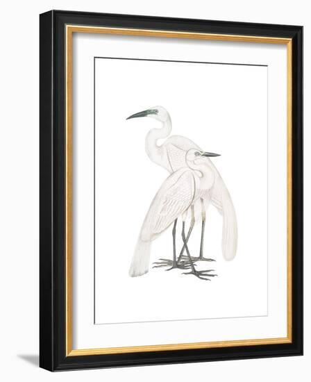 Black Billed Heron-Maria Mendez-Framed Giclee Print