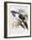 Black Billed Hill Toucan-John Gould-Framed Giclee Print