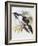 Black Billed Hill Toucan-John Gould-Framed Giclee Print