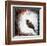 Black Bird 1-Marie Claprood-Framed Art Print