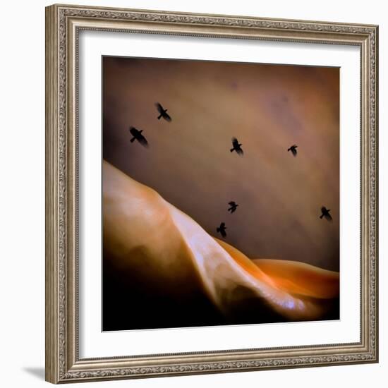 Black Birds Flying-Trigger Image-Framed Photographic Print