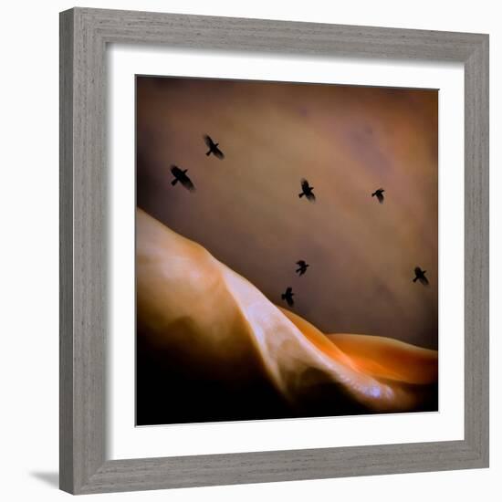 Black Birds Flying-Trigger Image-Framed Photographic Print