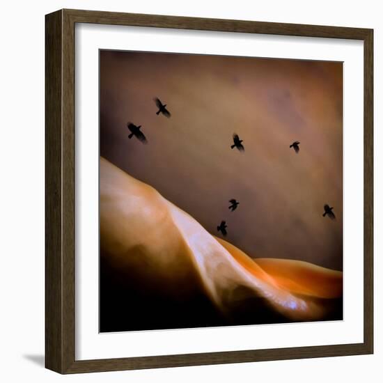 Black Birds Flying-Trigger Image-Framed Photographic Print