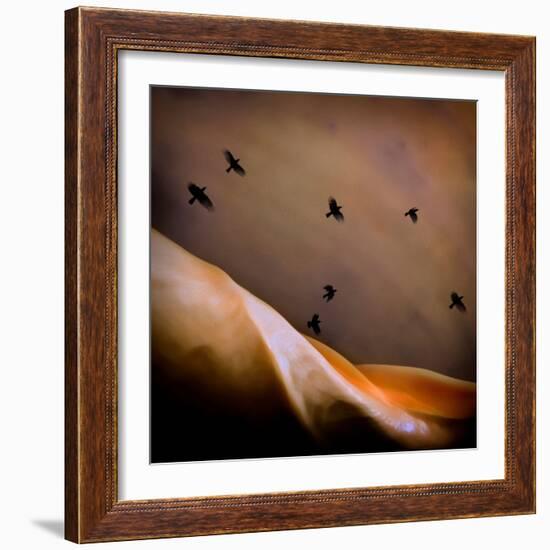 Black Birds Flying-Trigger Image-Framed Photographic Print