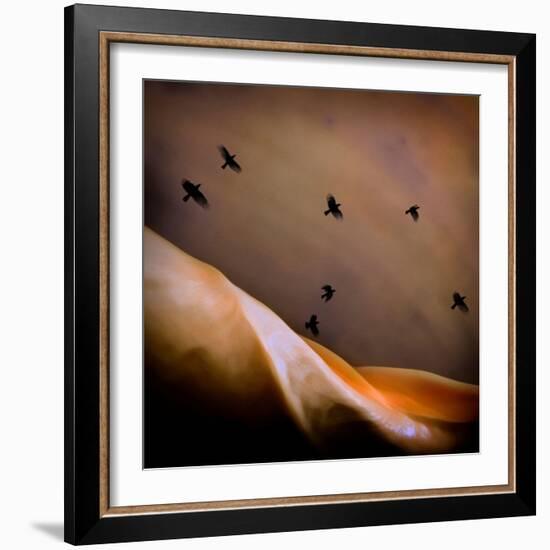 Black Birds Flying-Trigger Image-Framed Photographic Print