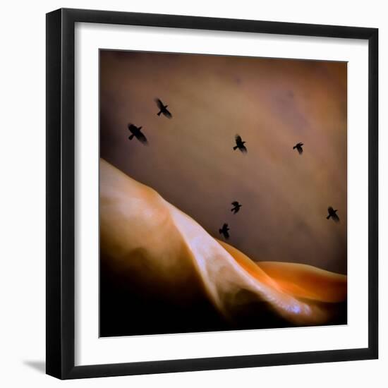 Black Birds Flying-Trigger Image-Framed Photographic Print