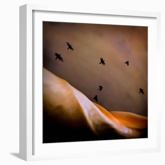 Black Birds Flying-Trigger Image-Framed Photographic Print