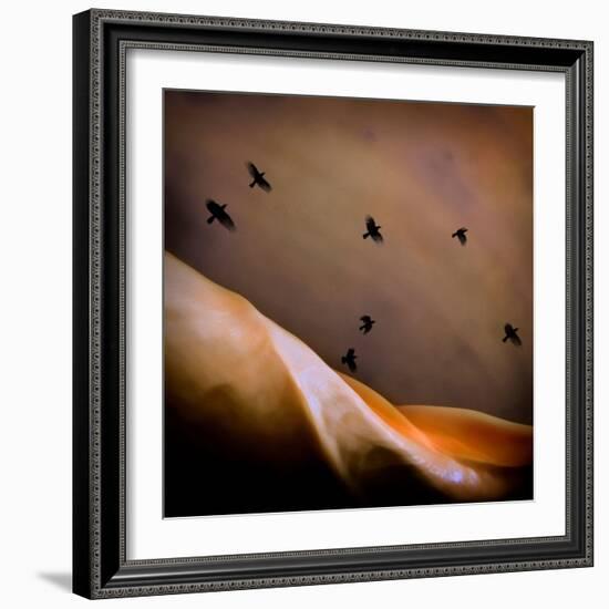 Black Birds Flying-Trigger Image-Framed Photographic Print