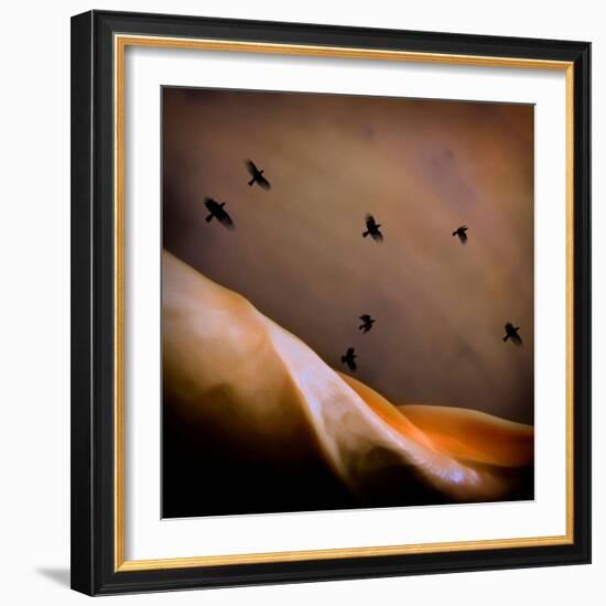 Black Birds Flying-Trigger Image-Framed Photographic Print