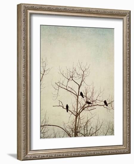 Black Birds in a Tree-Jillian Melnyk-Framed Photographic Print