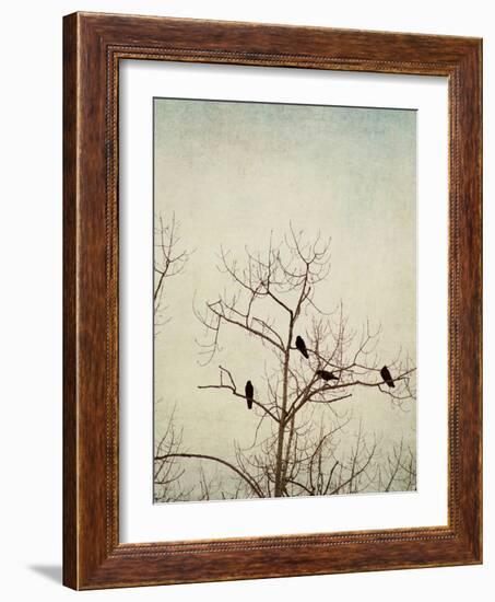 Black Birds in a Tree-Jillian Melnyk-Framed Photographic Print