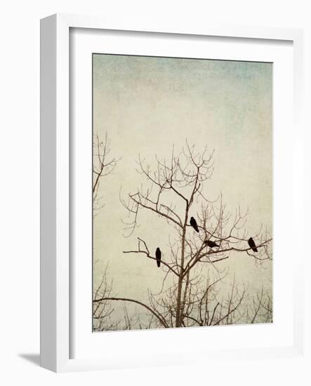 Black Birds in a Tree-Jillian Melnyk-Framed Photographic Print