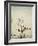 Black Birds in a Tree-Jillian Melnyk-Framed Photographic Print