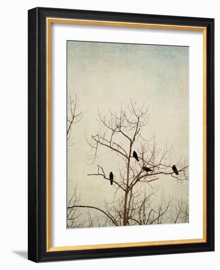 Black Birds in a Tree-Jillian Melnyk-Framed Photographic Print