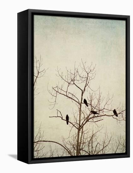 Black Birds in a Tree-Jillian Melnyk-Framed Premier Image Canvas