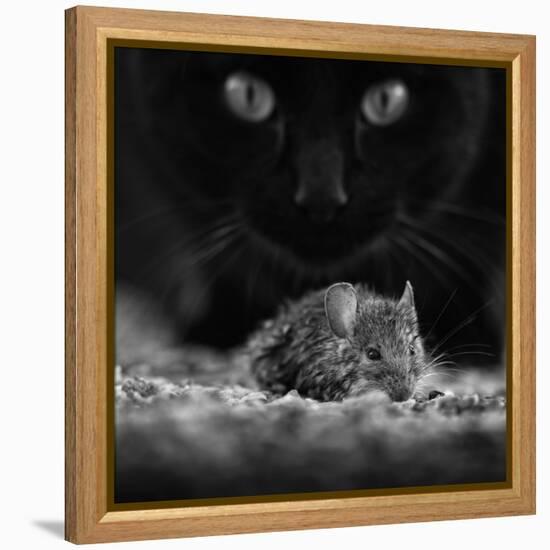 Black Breakfast-Francois Casanova-Framed Premier Image Canvas