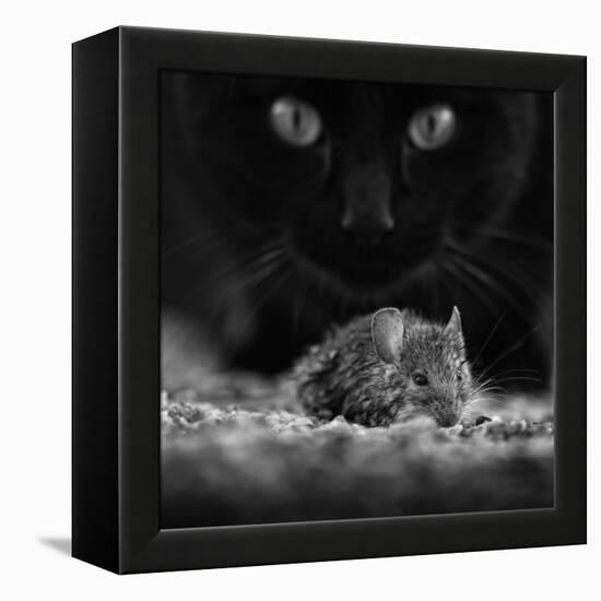 Black Breakfast-Francois Casanova-Framed Premier Image Canvas