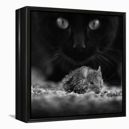 Black Breakfast-Francois Casanova-Framed Premier Image Canvas