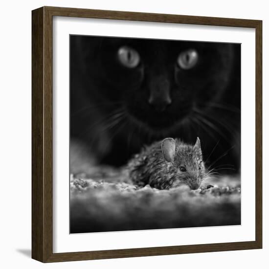 Black Breakfast-Francois Casanova-Framed Photographic Print