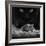 Black Breakfast-Francois Casanova-Framed Photographic Print