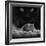 Black Breakfast-Francois Casanova-Framed Photographic Print