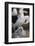 Black-Browed Albatross and Chick-DLILLC-Framed Photographic Print