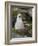 Black-browed Albatross chick in its nest. Falkland Islands-Martin Zwick-Framed Photographic Print