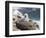 Black-browed Albatross chick in its nest. Falkland Islands-Martin Zwick-Framed Photographic Print