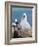 Black-Browed Albatross Chick on Tower Shaped Nest. Falkland Islands-Martin Zwick-Framed Photographic Print